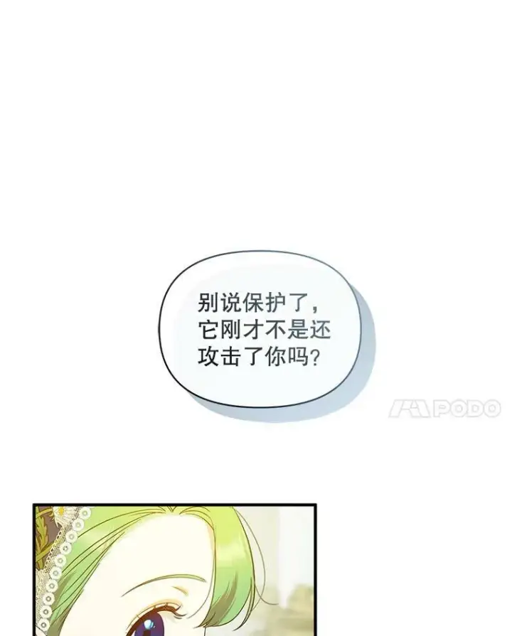 《穿成后悔偏执狂的妹妹》12.攻击图55