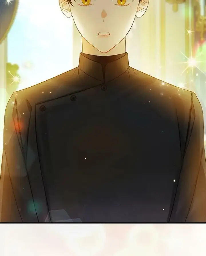 《穿成后悔偏执狂的妹妹》12.攻击图58