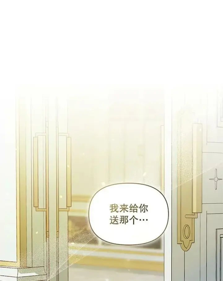 《穿成后悔偏执狂的妹妹》12.攻击图68