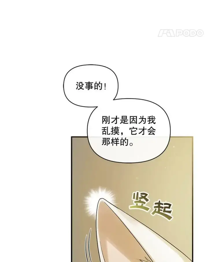 《穿成后悔偏执狂的妹妹》12.攻击图76