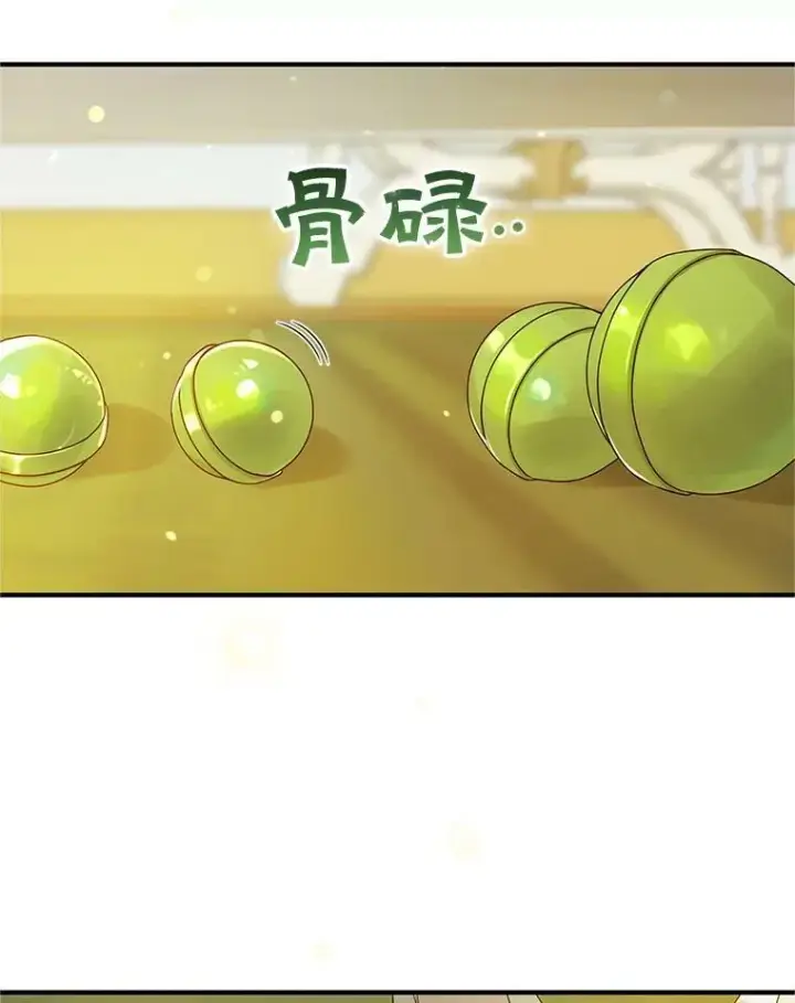 《穿成后悔偏执狂的妹妹》12.攻击图78