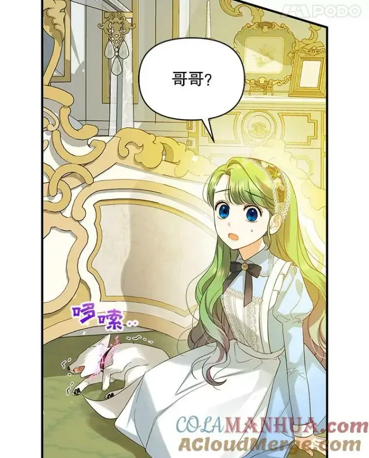 《穿成后悔偏执狂的妹妹》12.攻击图9