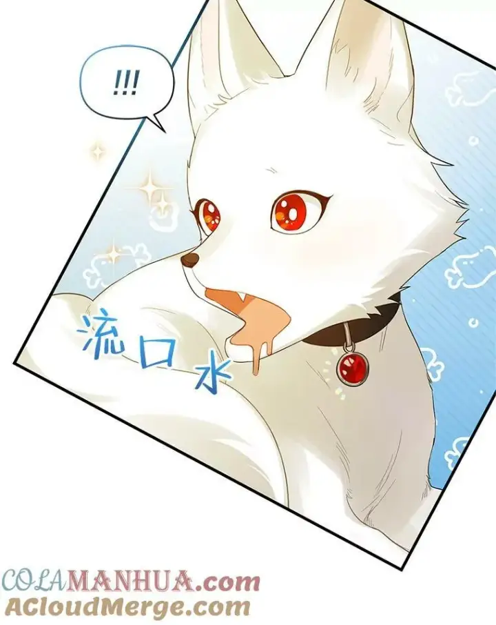 《穿成后悔偏执狂的妹妹》12.攻击图97