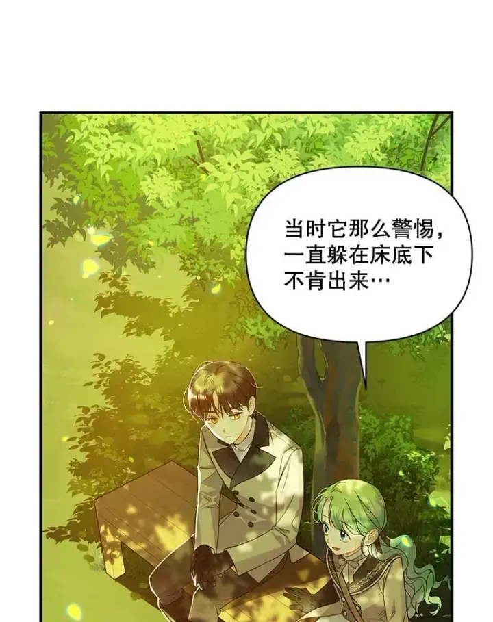 《穿成后悔偏执狂的妹妹》13.属于“我”的爱图63