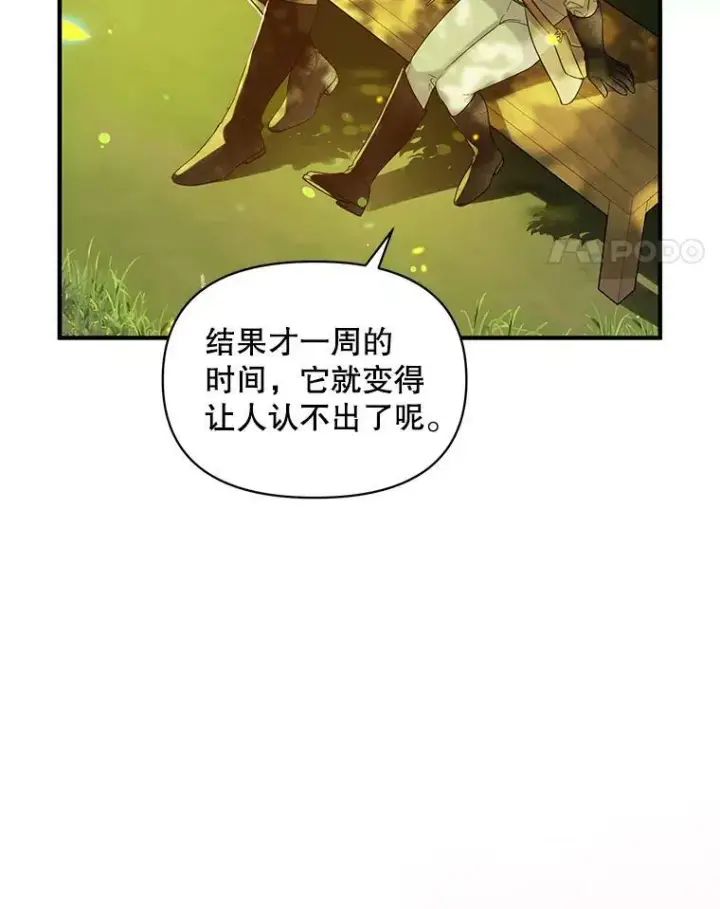 《穿成后悔偏执狂的妹妹》13.属于“我”的爱图64