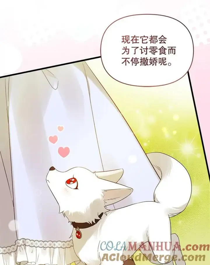《穿成后悔偏执狂的妹妹》13.属于“我”的爱图65
