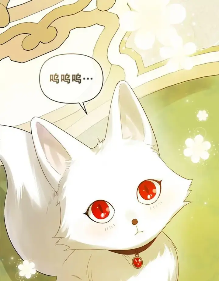 《穿成后悔偏执狂的妹妹》14.打成一片图95