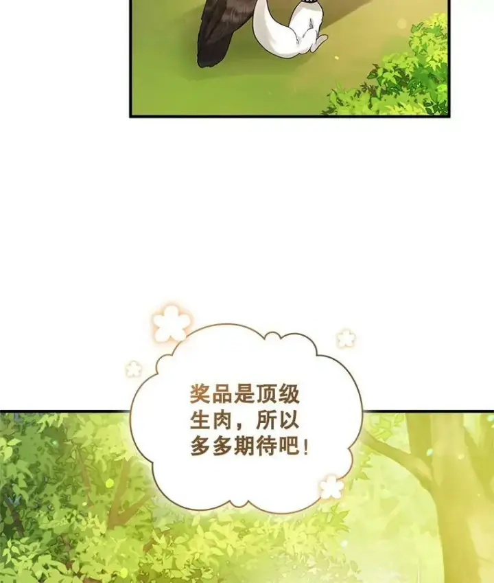 《穿成后悔偏执狂的妹妹》15.野猪突袭图14