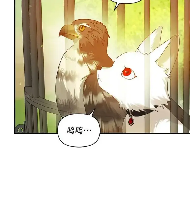 《穿成后悔偏执狂的妹妹》18.与兽人分别图16