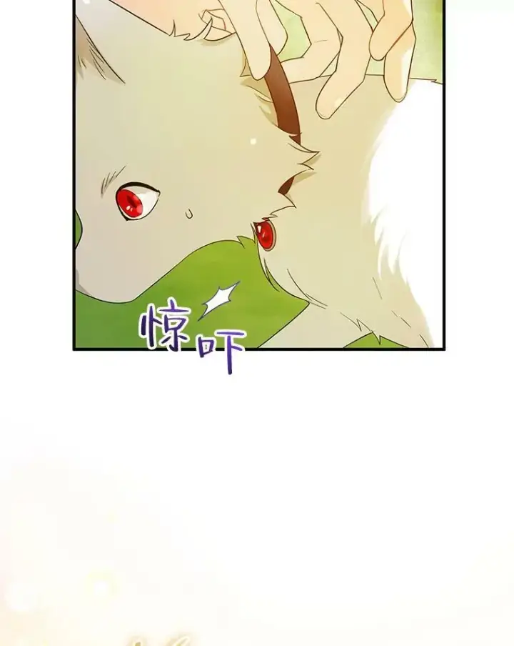 《穿成后悔偏执狂的妹妹》18.与兽人分别图40