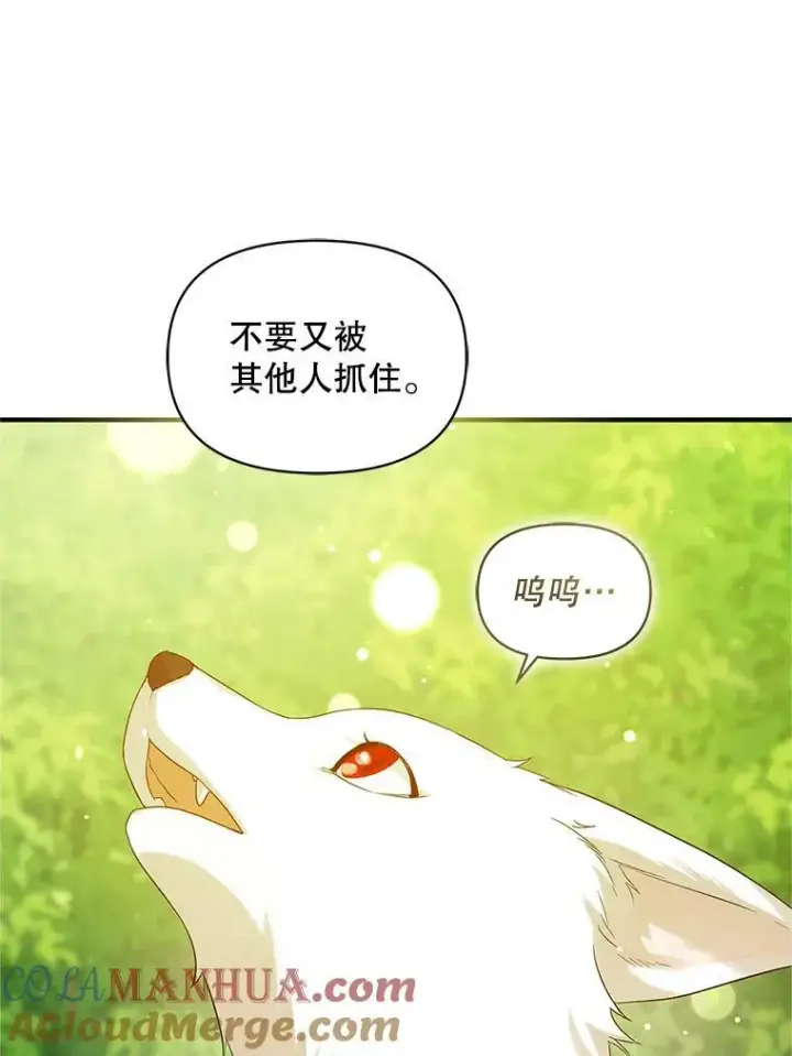 《穿成后悔偏执狂的妹妹》18.与兽人分别图73
