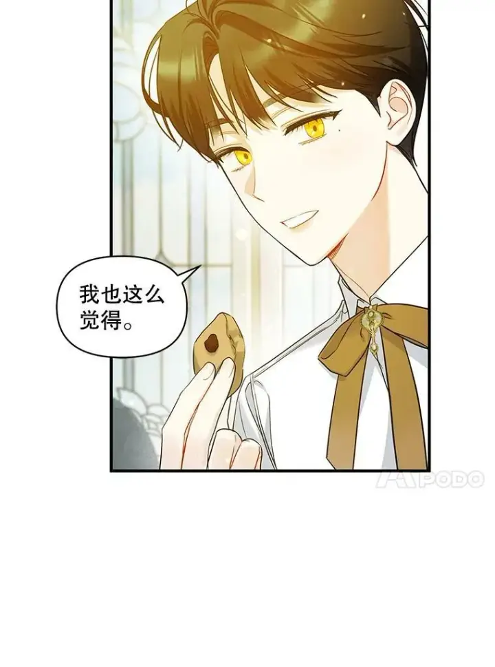 《穿成后悔偏执狂的妹妹》19.手工曲奇图57