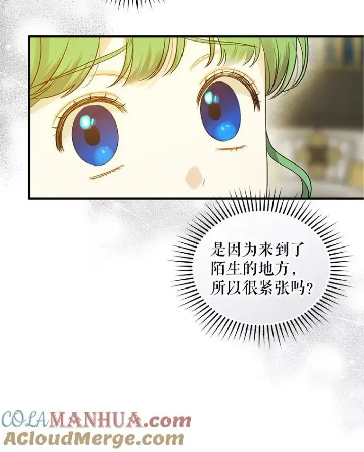 《穿成后悔偏执狂的妹妹》20.皇宫年会图53