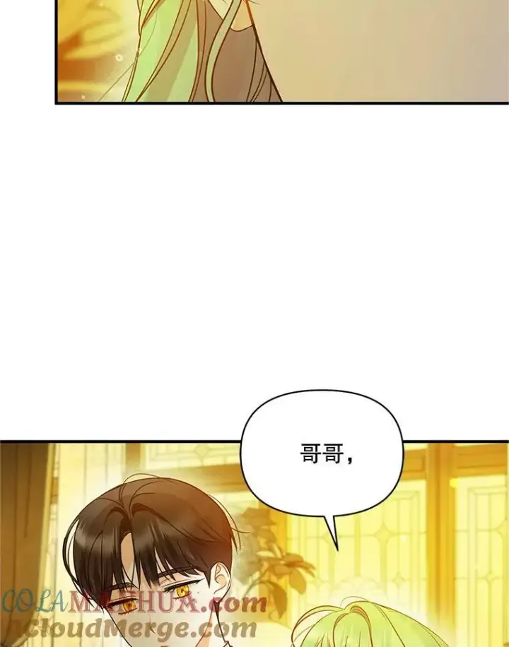 《穿成后悔偏执狂的妹妹》22.诺尔登场图101