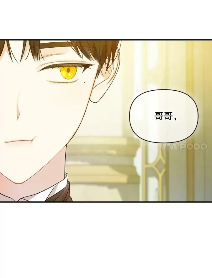 《穿成后悔偏执狂的妹妹》23.过往回忆图88