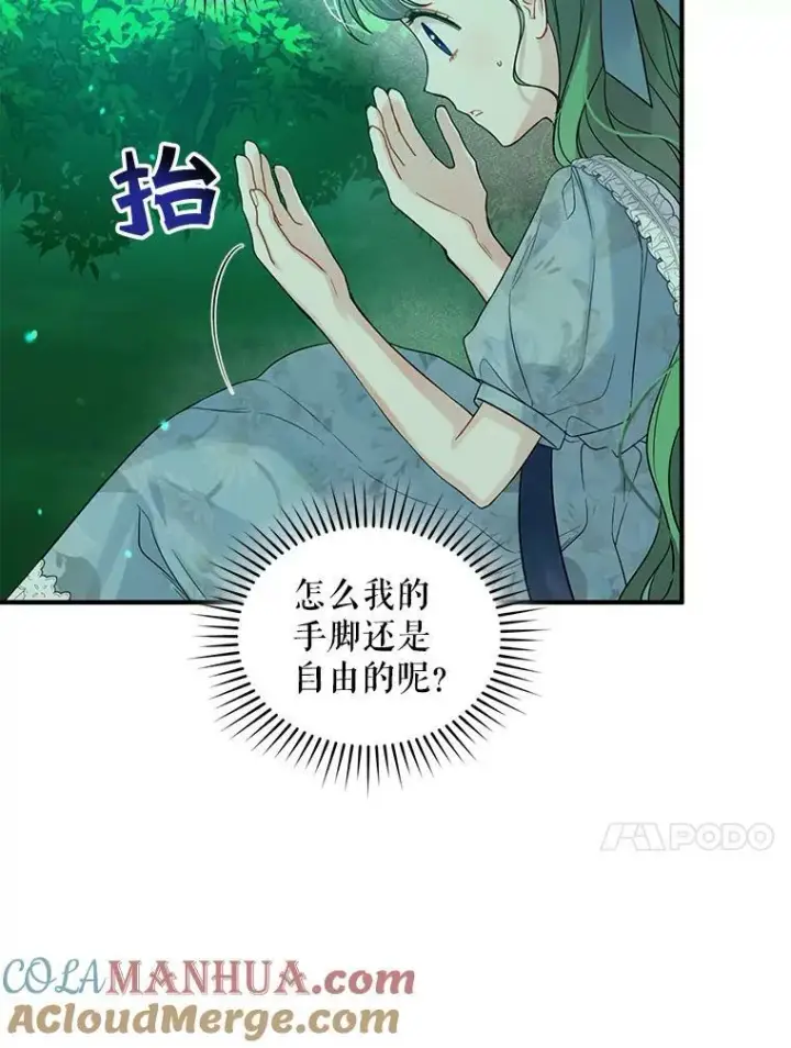 《穿成后悔偏执狂的妹妹》26.绑架图85