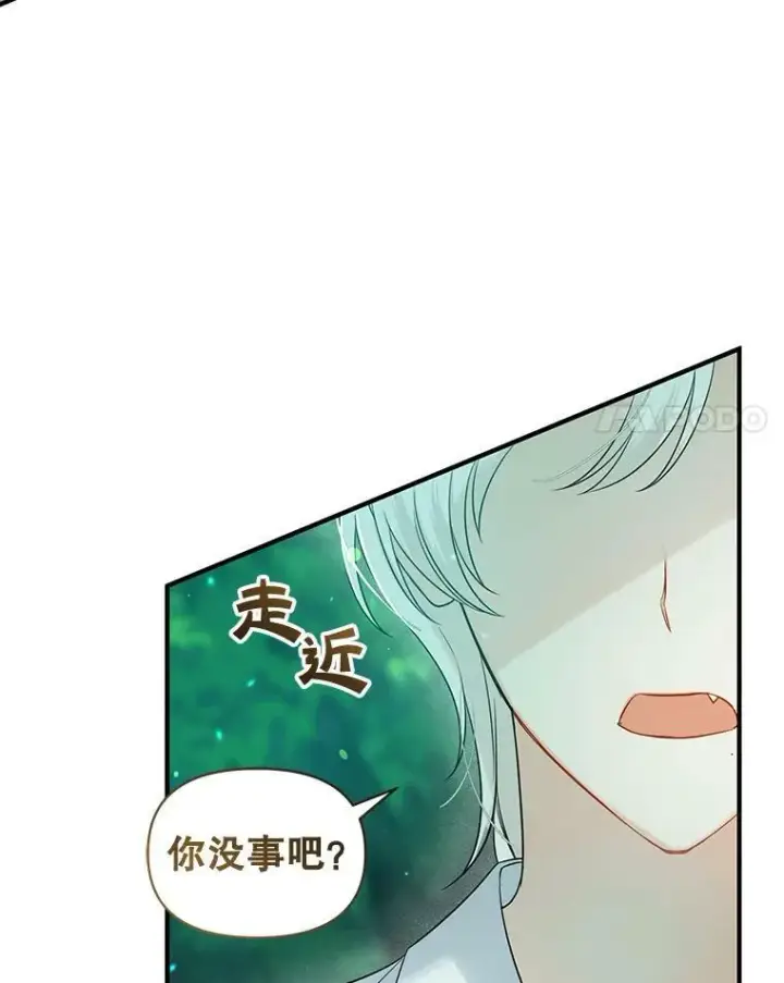 《穿成后悔偏执狂的妹妹》27.反派埃利奥图111