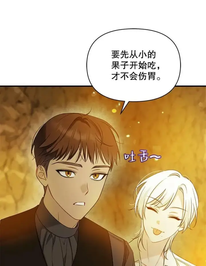 《穿成后悔偏执狂的妹妹》28.重逢图100