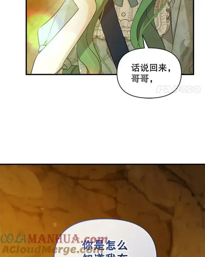 《穿成后悔偏执狂的妹妹》28.重逢图113