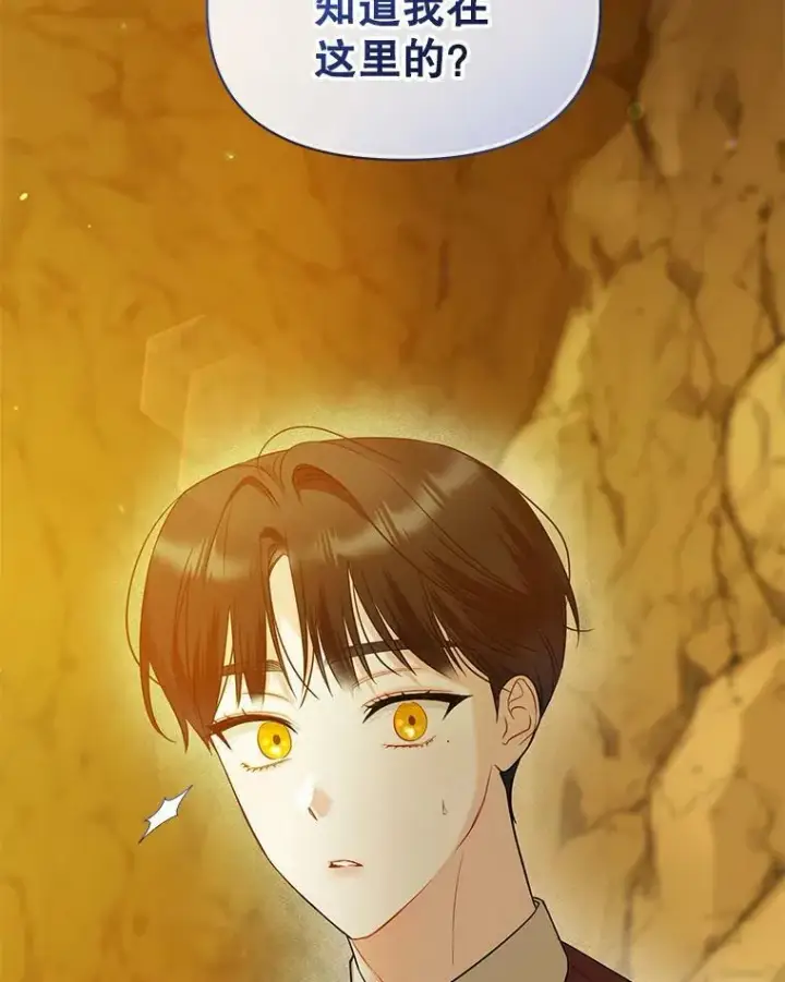 《穿成后悔偏执狂的妹妹》28.重逢图114