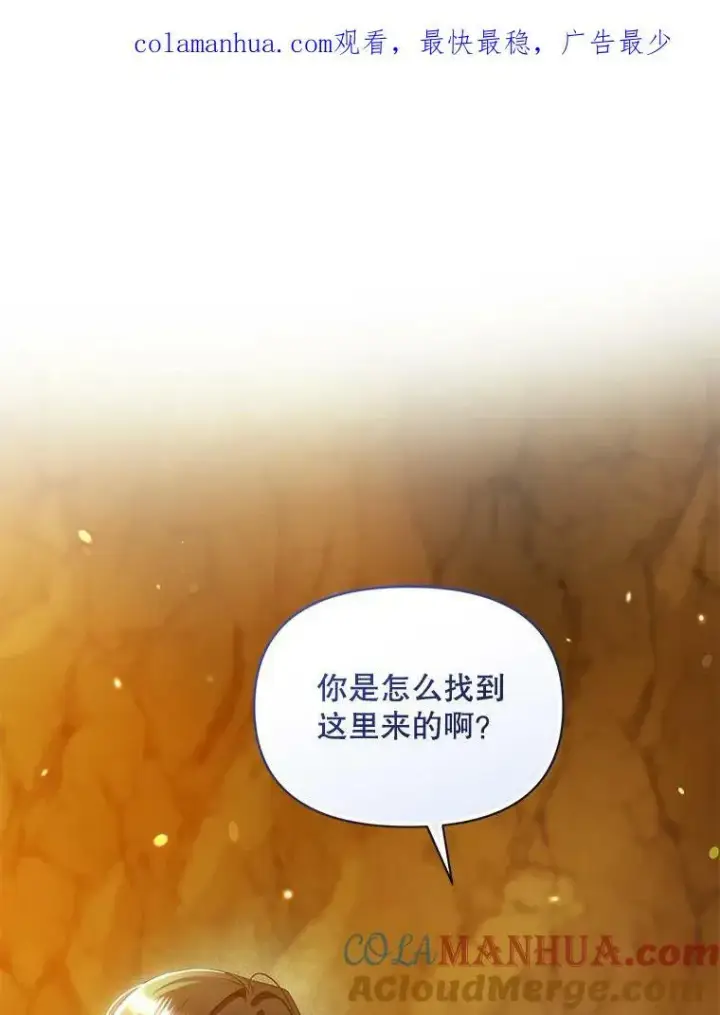 《穿成后悔偏执狂的妹妹》28.重逢图117