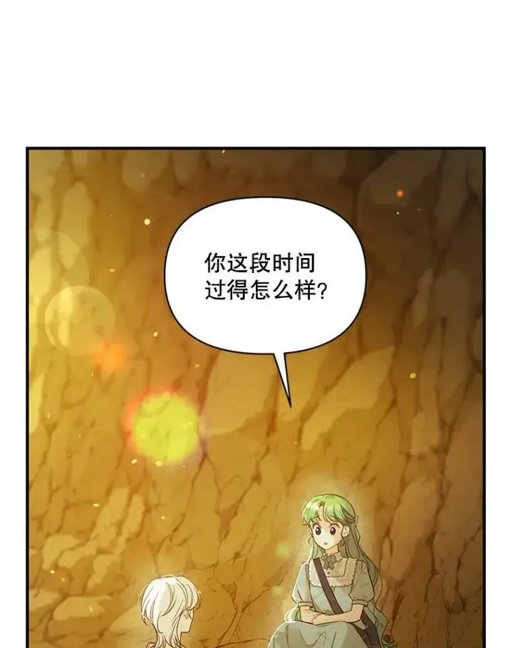 《穿成后悔偏执狂的妹妹》28.重逢图14