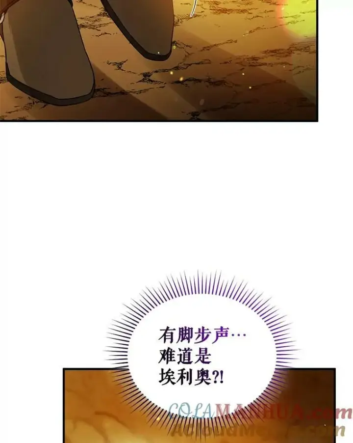 《穿成后悔偏执狂的妹妹》28.重逢图37