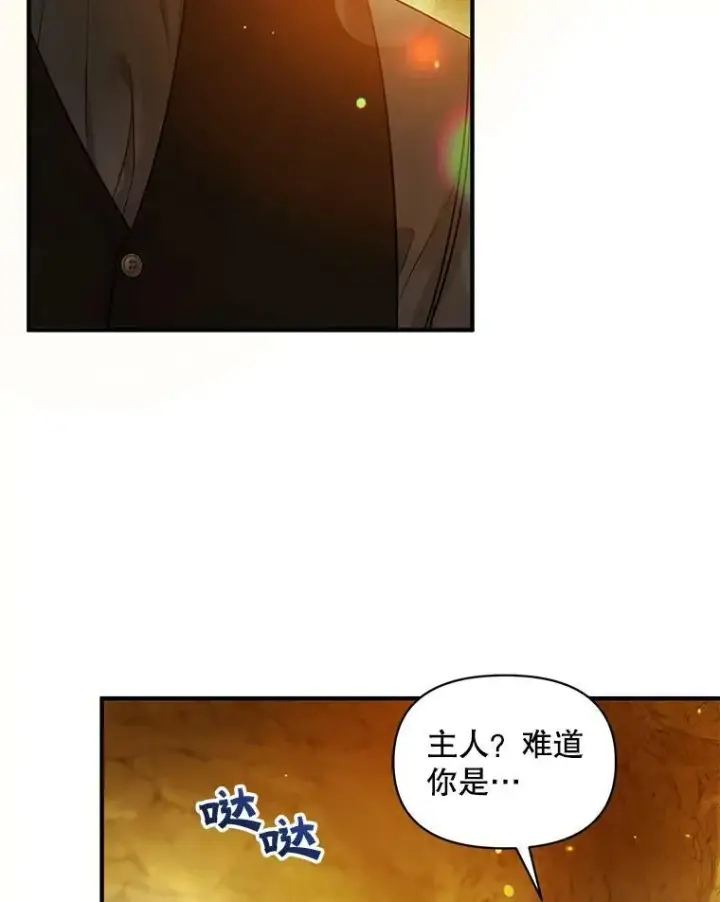 《穿成后悔偏执狂的妹妹》28.重逢图40