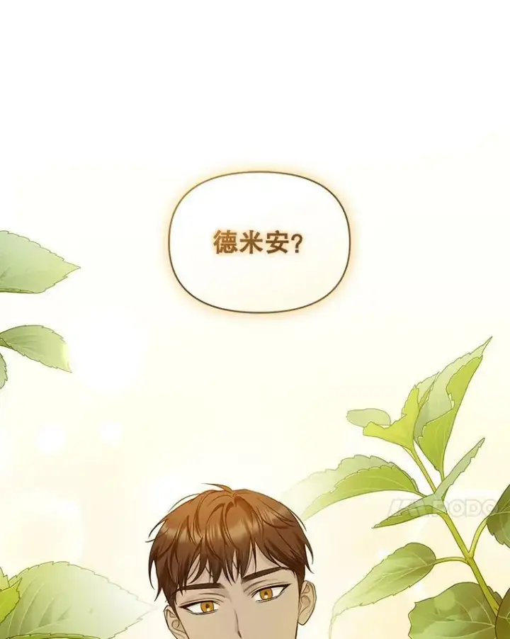 《穿成后悔偏执狂的妹妹》28.重逢图42