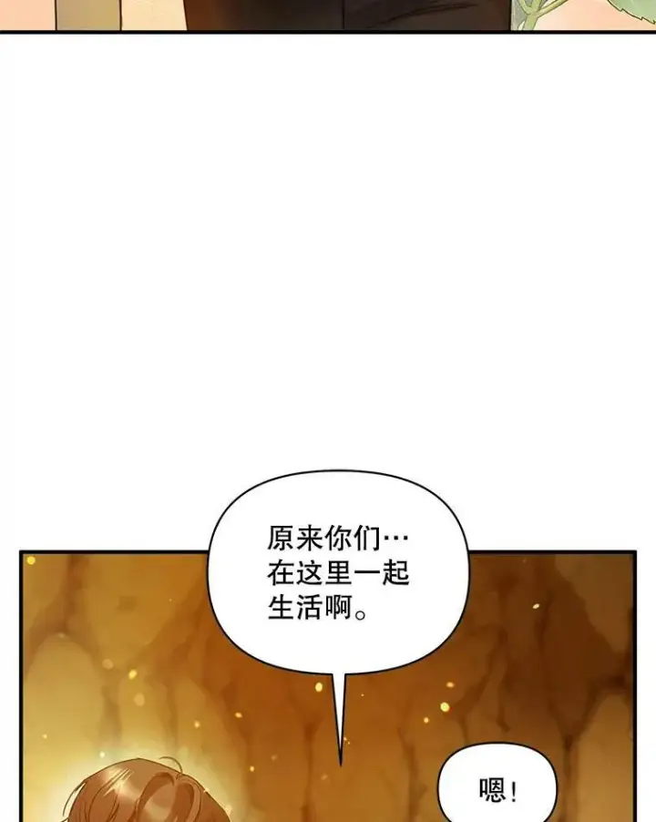 《穿成后悔偏执狂的妹妹》28.重逢图44