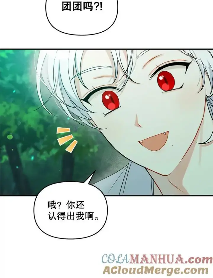 《穿成后悔偏执狂的妹妹》28.重逢图5