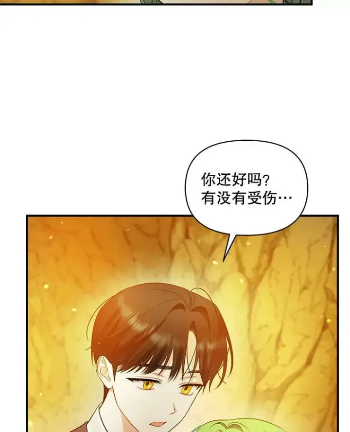 《穿成后悔偏执狂的妹妹》28.重逢图80