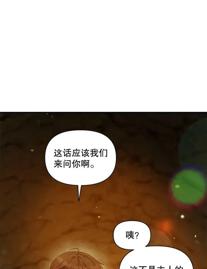 《穿成后悔偏执狂的妹妹》28.重逢图92