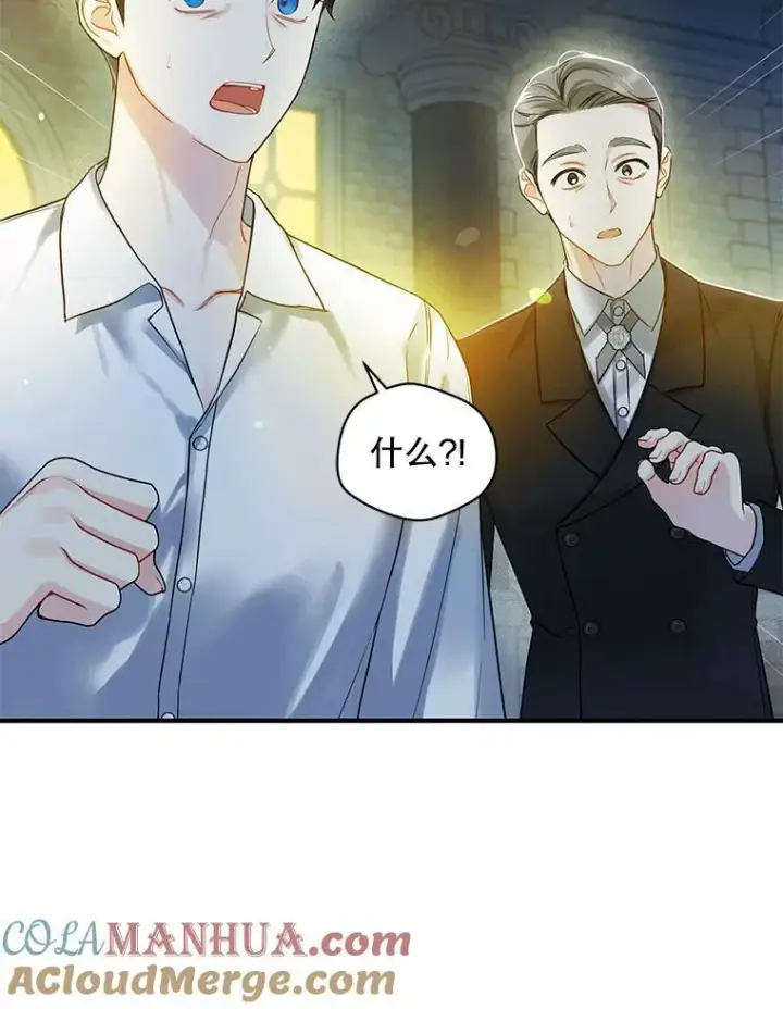 《穿成后悔偏执狂的妹妹》29.安全回府图65