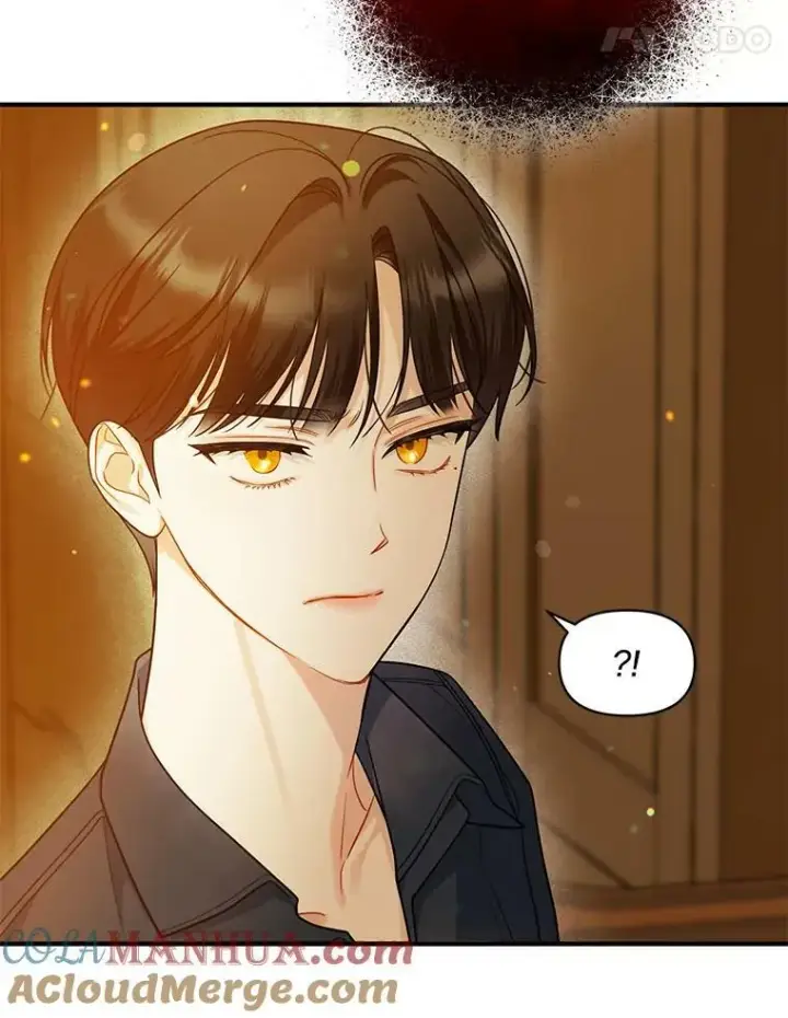 《穿成后悔偏执狂的妹妹》31.生病图109