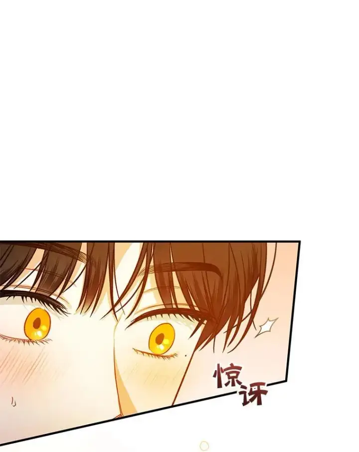 《穿成后悔偏执狂的妹妹》41.礼物图75