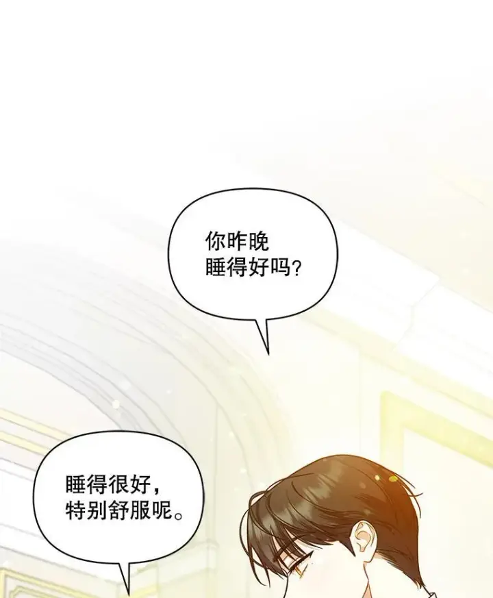 《穿成后悔偏执狂的妹妹》45.偶遇诺尔1图11