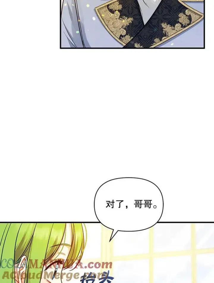 《穿成后悔偏执狂的妹妹》45.偶遇诺尔1图49