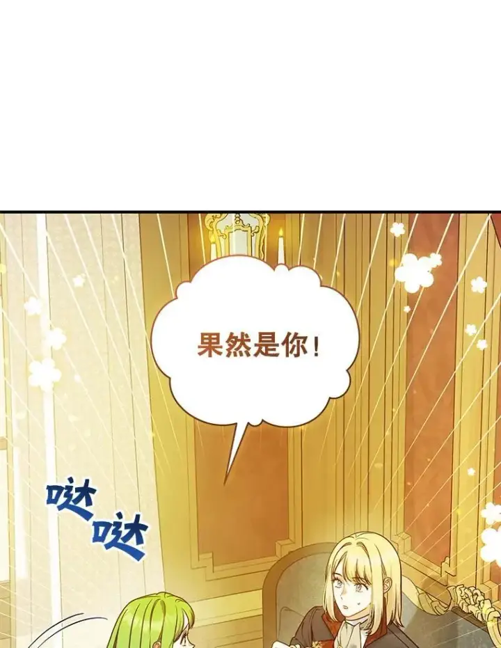 《穿成后悔偏执狂的妹妹》45.偶遇诺尔1图84