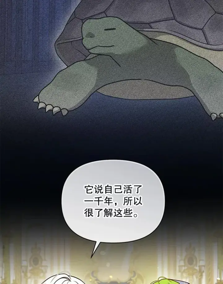 《穿成后悔偏执狂的妹妹》65.诺尔表达心意图8