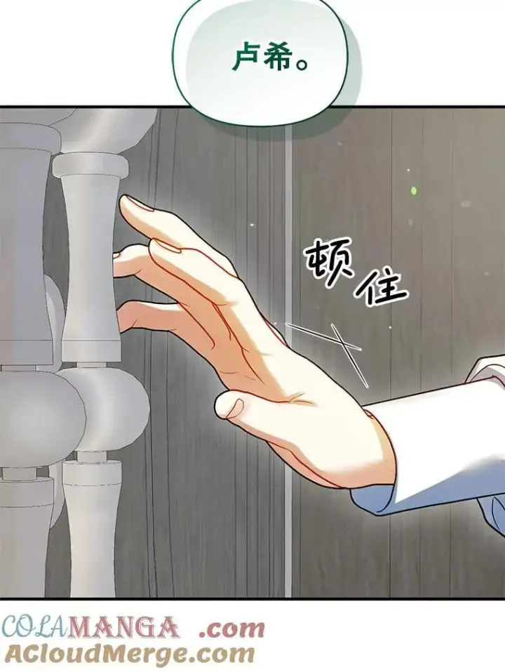 《穿成后悔偏执狂的妹妹》69.昏迷图9