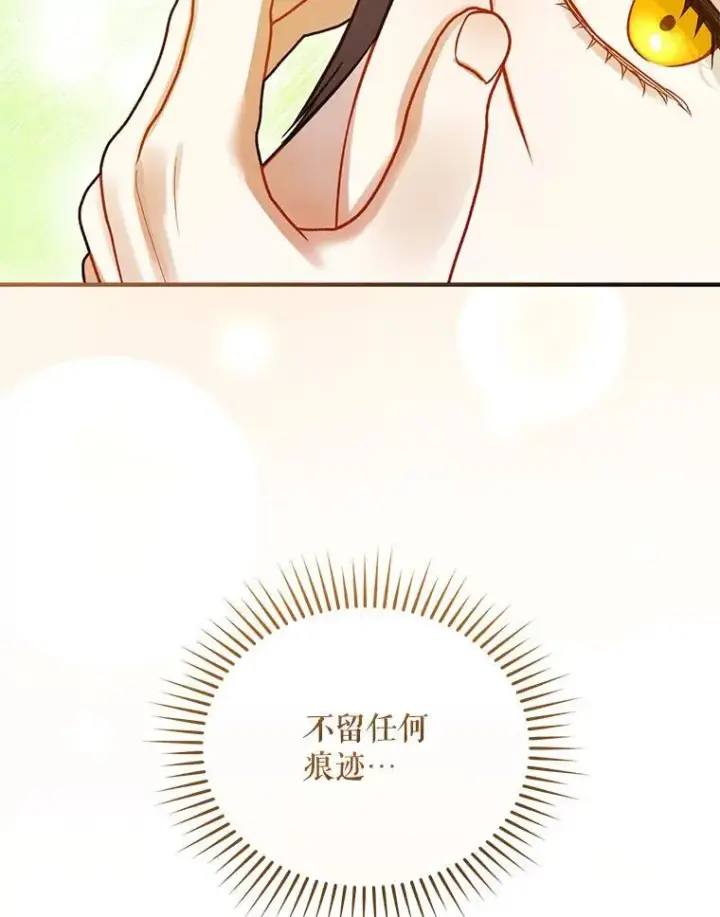 《穿成后悔偏执狂的妹妹》70.愿望图115