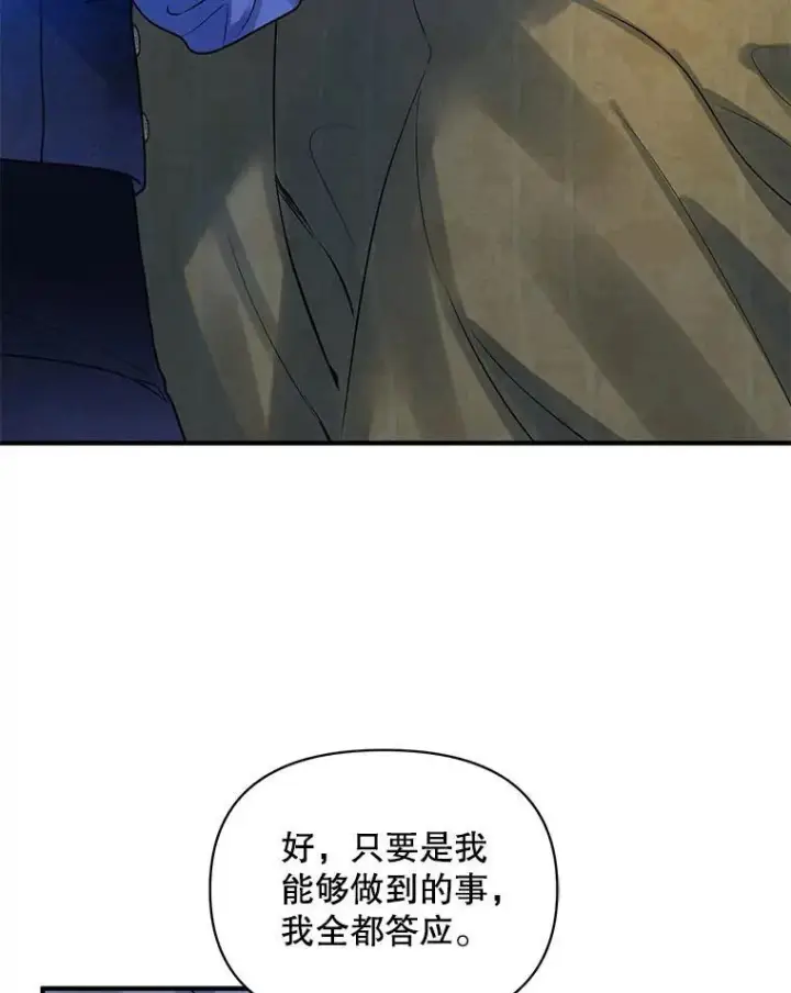 《穿成后悔偏执狂的妹妹》70.愿望图79
