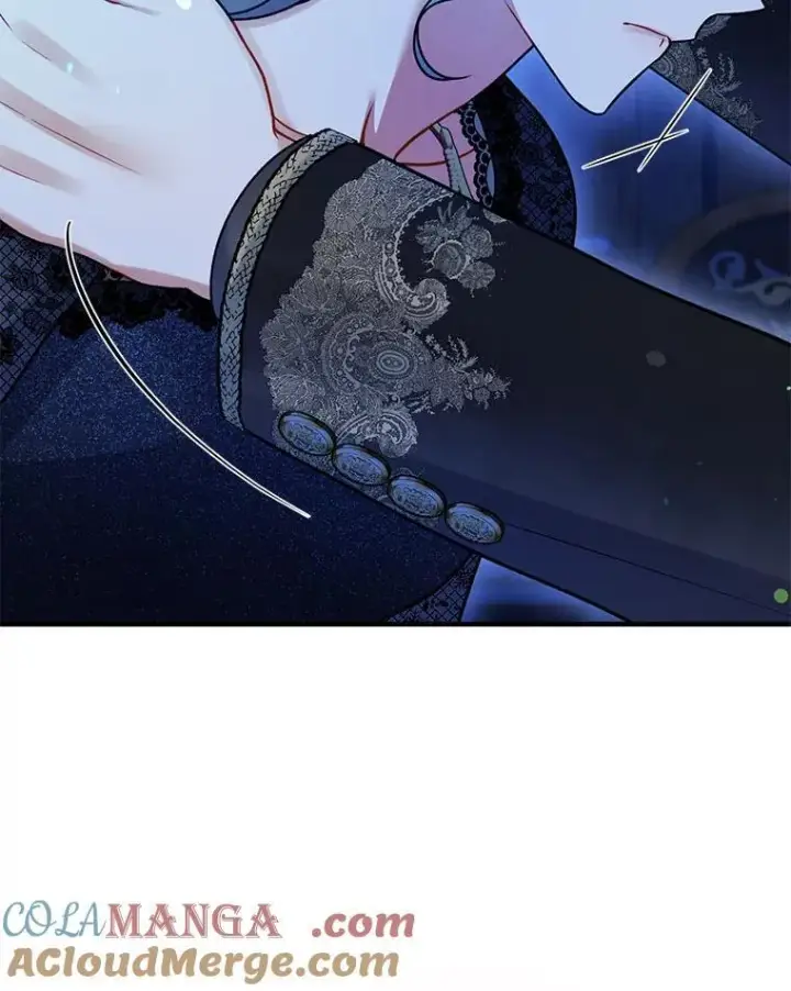 《穿成后悔偏执狂的妹妹》74.你没有错图93