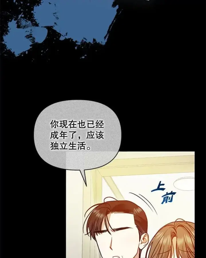 《穿成后悔偏执狂的妹妹》80.噩梦图44