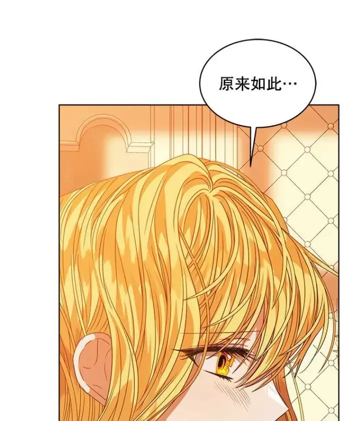 《穿书已经穿腻了》31.护卫骑士图102