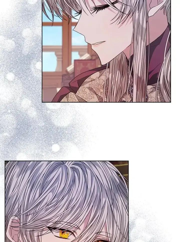 《穿书已经穿腻了》31.护卫骑士图39