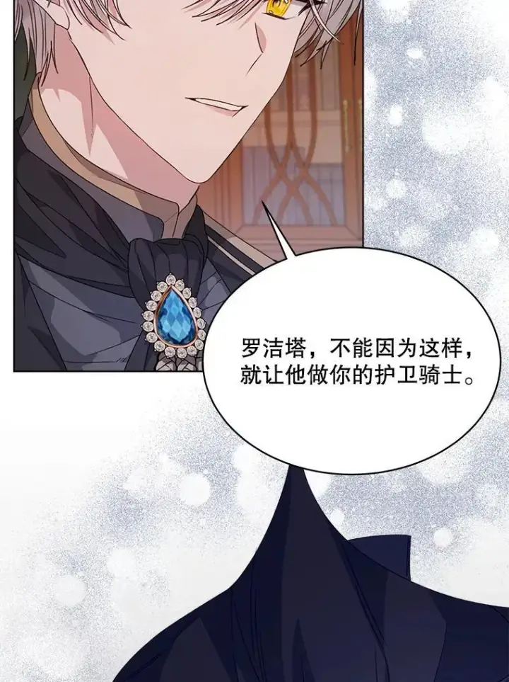 《穿书已经穿腻了》31.护卫骑士图40