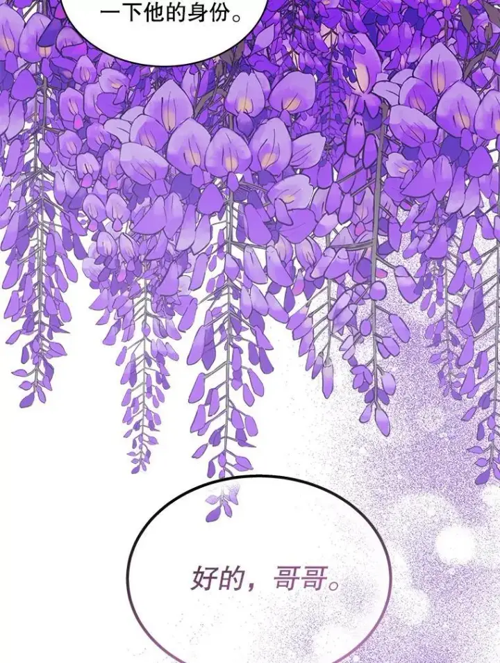 《穿书已经穿腻了》31.护卫骑士图78