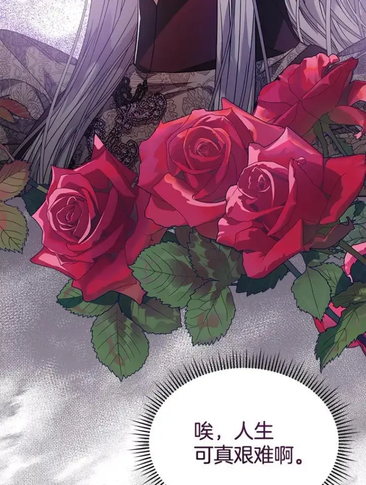 《穿书已经穿腻了》31.护卫骑士图80